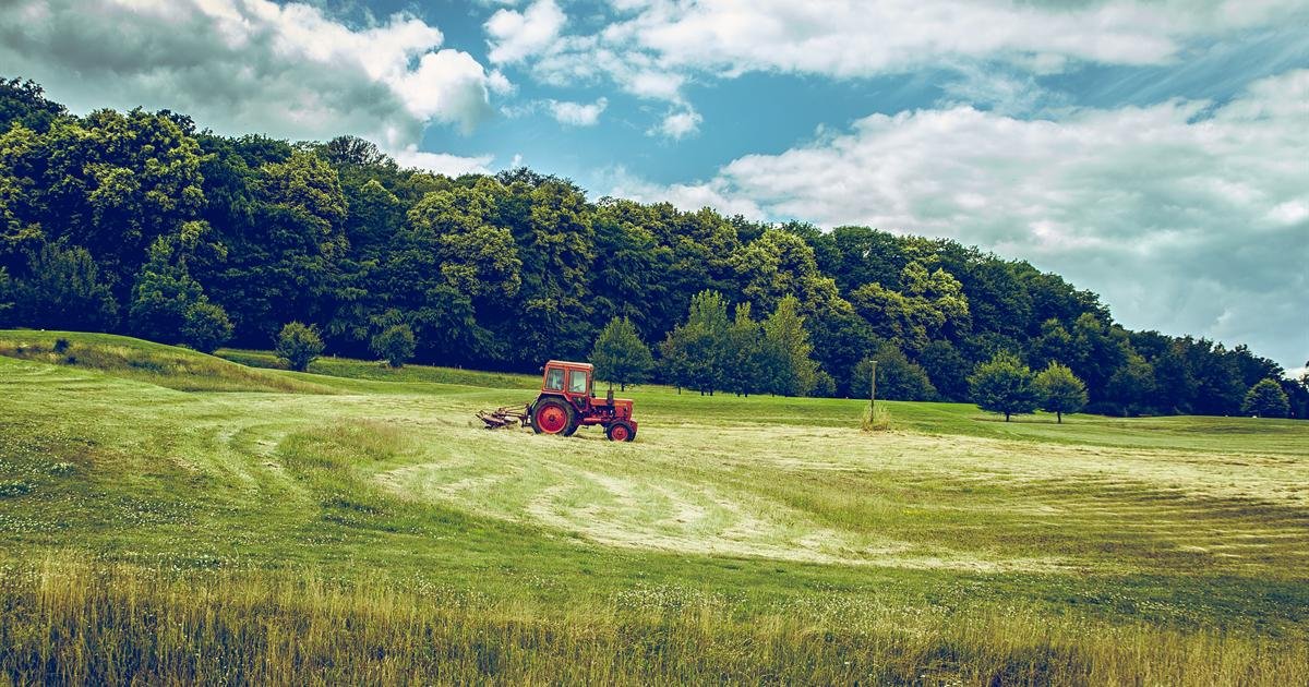 Trator vermelho em um campo verde com mata ao fundo